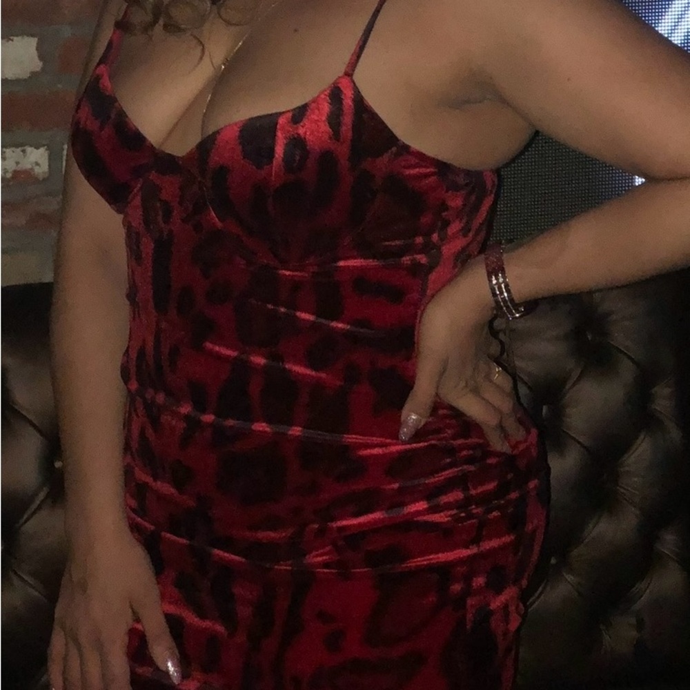 Red and Black Animal Print Dress